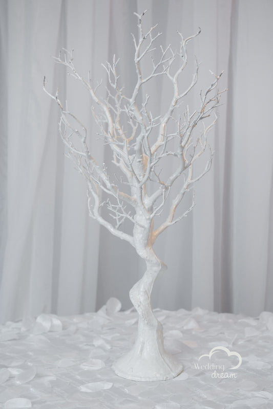 24" White Manzanita Tree