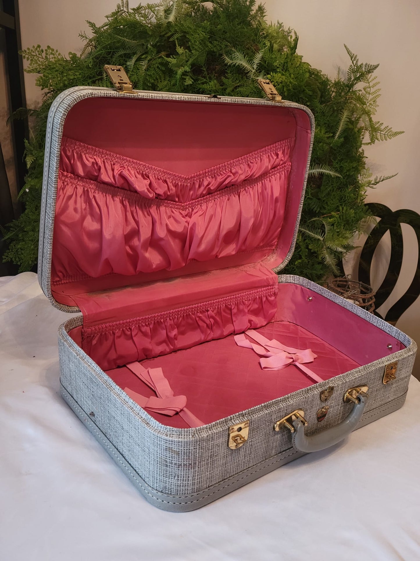 Vintage Luggage with pink interior