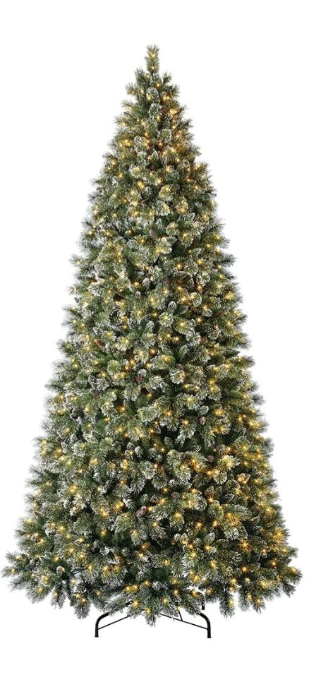 12' Lightly Dusted lightup Christmas Tree