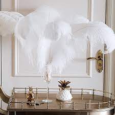 ostrich feathers pumes