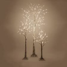 white light up birch trees